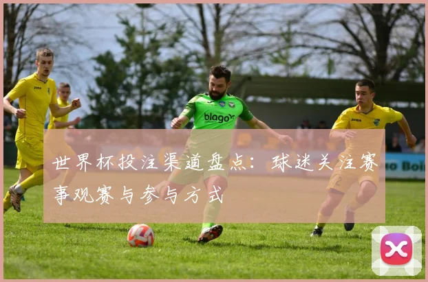 世界杯投注渠道盘点:球迷关注赛事观赛与参与方式