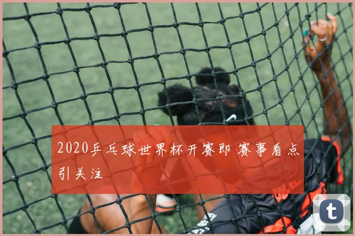 2020乒乓球世界杯开赛即 赛事看点引关注