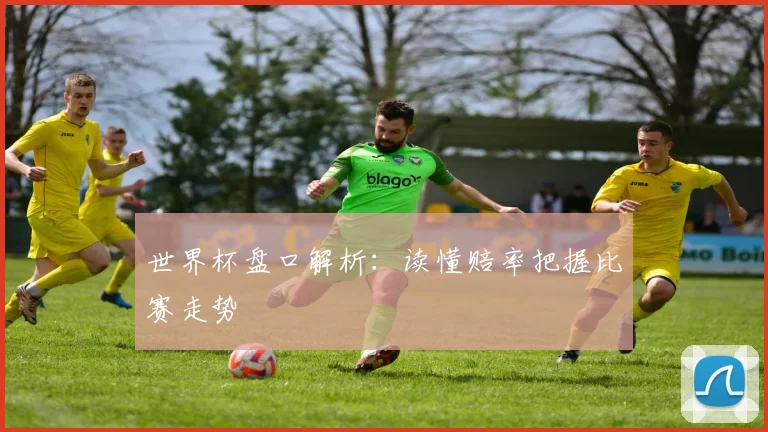 世界杯盘口解析:读懂赔率把握比赛走势
