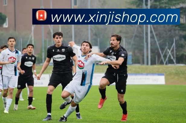 pg国际网平台生态图